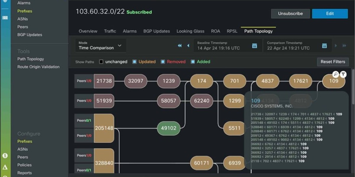 BGP Security: Solutions & Monitoring Explained